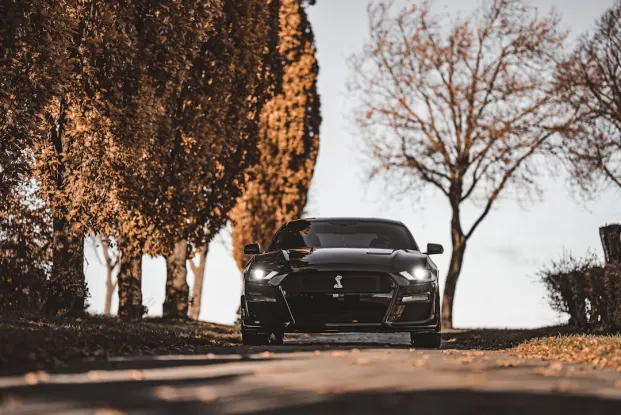 HippoZino Kaszinó Android/iOS Alkalmazás